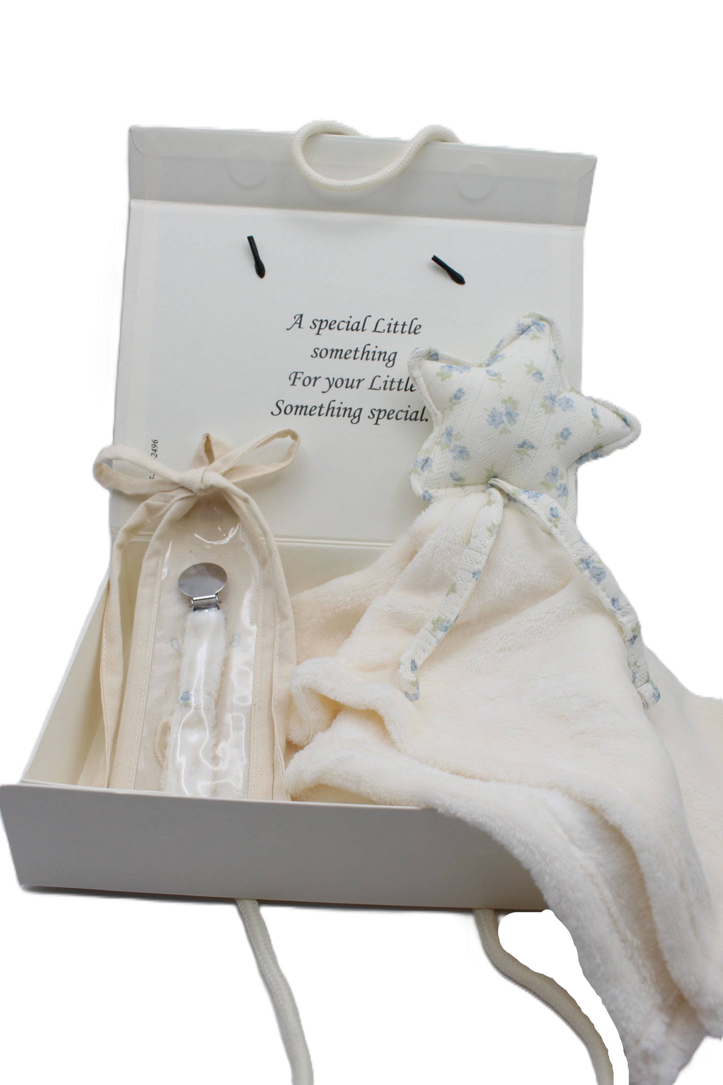 Baby Boy Gift Box Fuzzy floral Star Lovey and pacifier clip