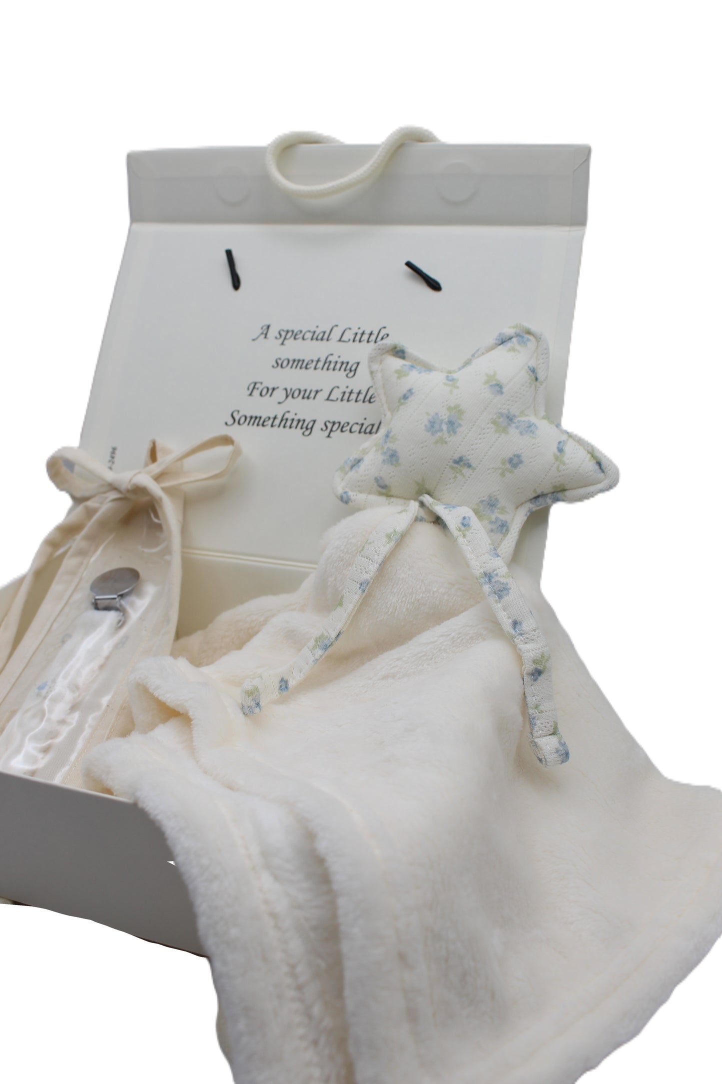 Baby Boy Gift Box Fuzzy floral Star Lovey and pacifier clip