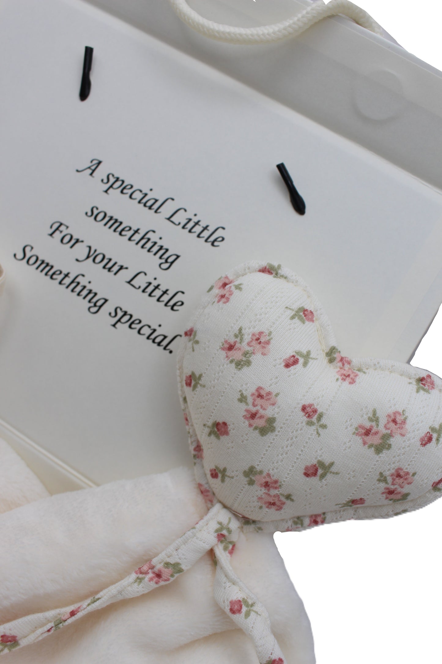 Baby Girl Gift Box Fuzzy floral Heart Lovey and pacifier clip