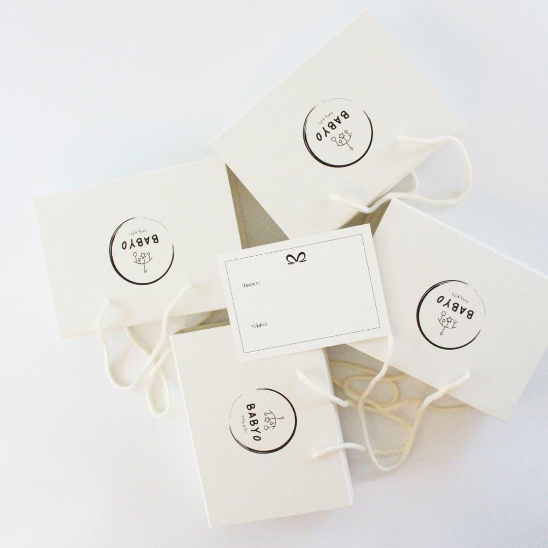 Baby Boy Gift Box Fuzzy floral Star Lovey and pacifier clip