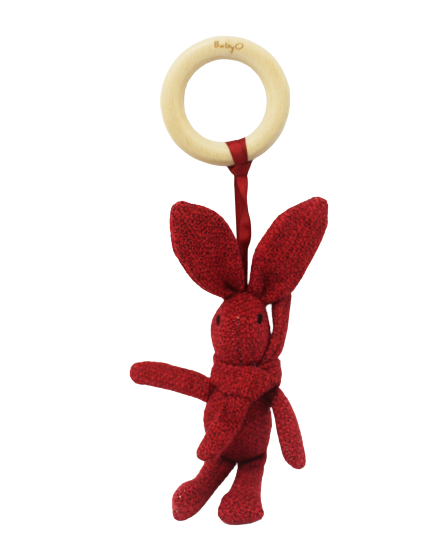 Wooden Teether ring with adorable Bunny gift set